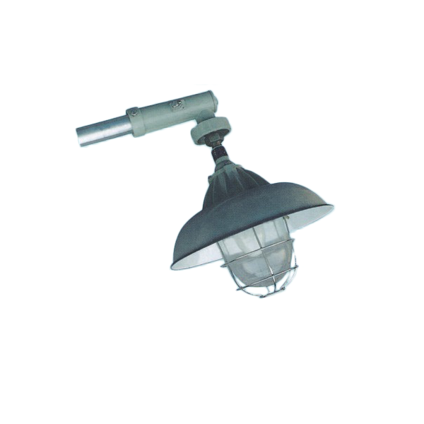 BAM52防爆馬路燈